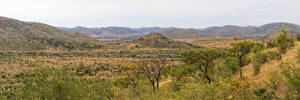 Noga Road Panorama